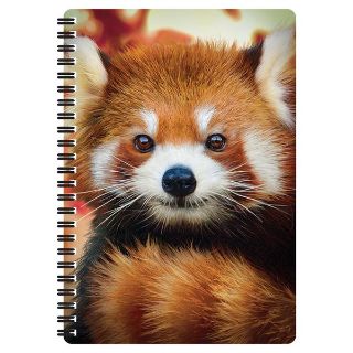 Obrázek z Notes 3D 14x21cm - panda červená (10) 